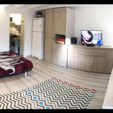 Apartment Les Palmiers - Cosy Proche Plages Et Centre Antibes